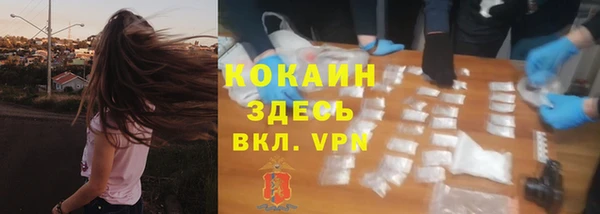 тгк Бородино