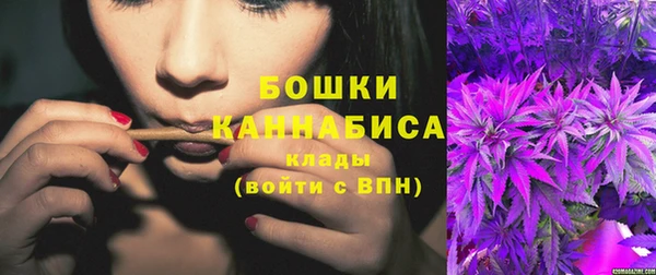 тгк Бородино