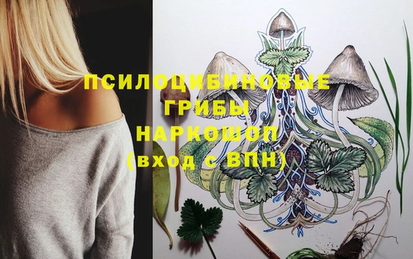 стафф Верея