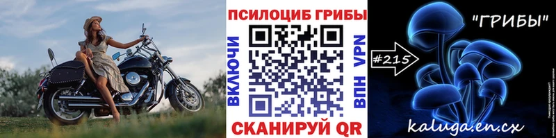 наркошоп  Нея  blacksprut сайт  Псилоцибиновые грибы MAGIC MUSHROOMS 